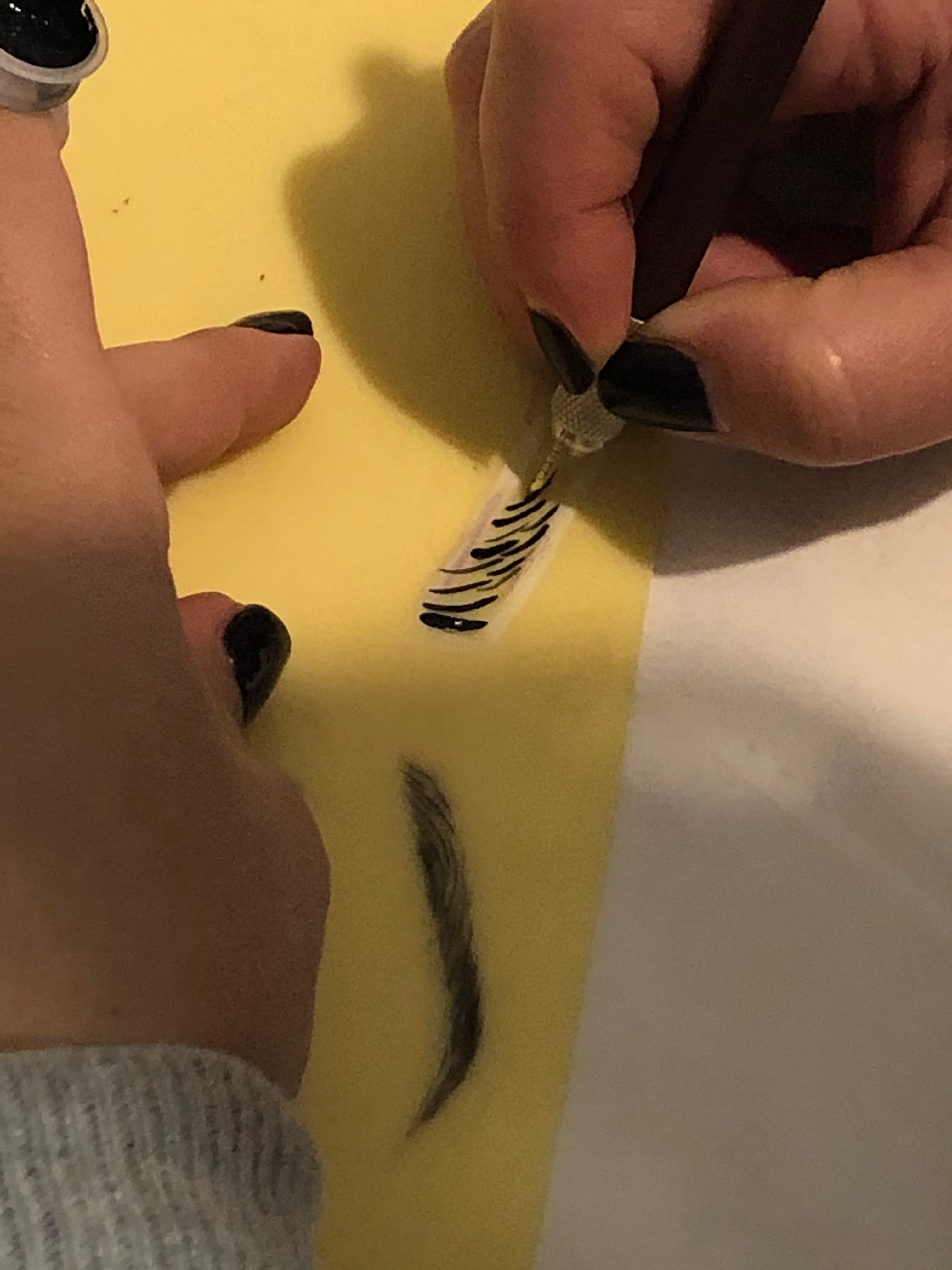 Corso Microblading Sopracciglia -  Pregnana Milanese (MI)